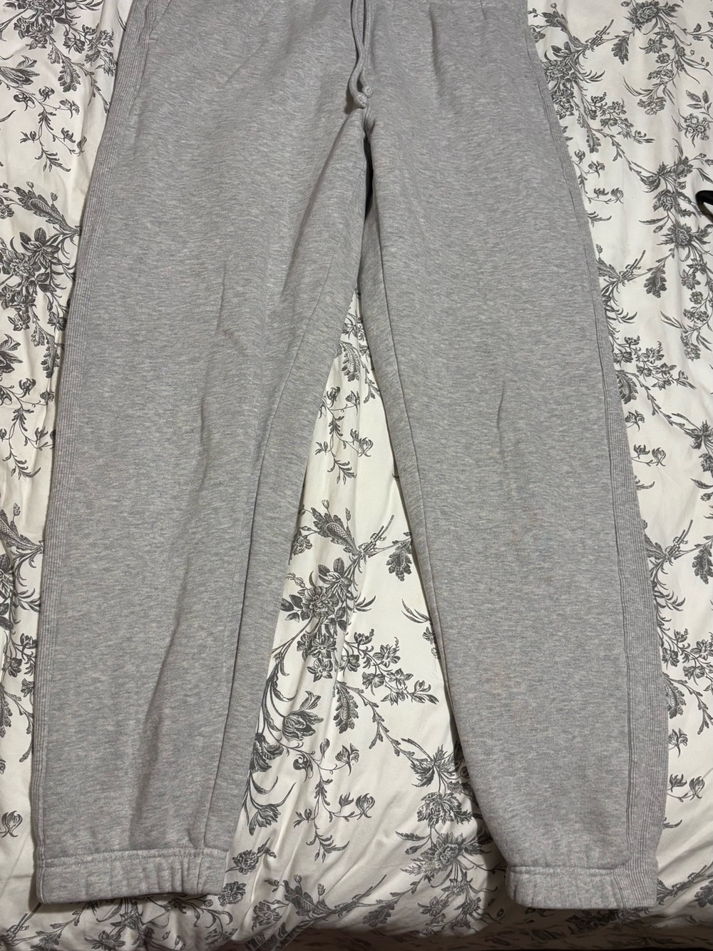 Aritzia CozyAF fleece sweatpants